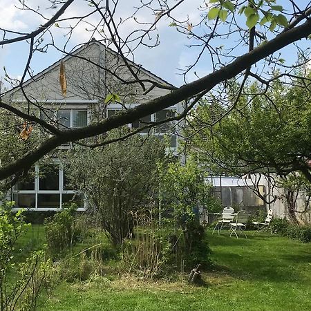 Rebenlaub Apartamento Heringen  Exterior foto