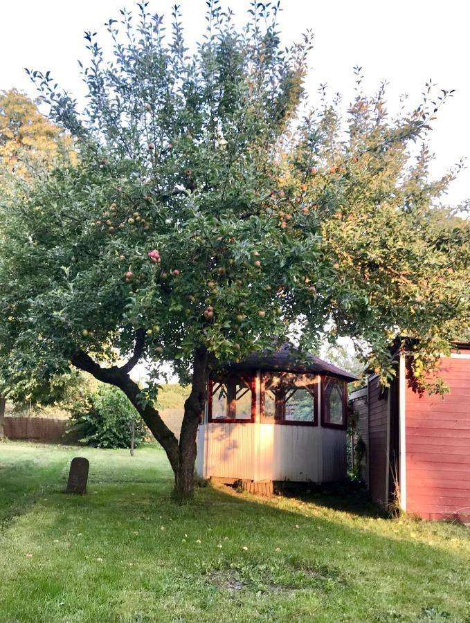 Rebenlaub Apartamento Heringen  Exterior foto